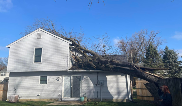 emergency-removal; tree fell on house; emergency tree removal service