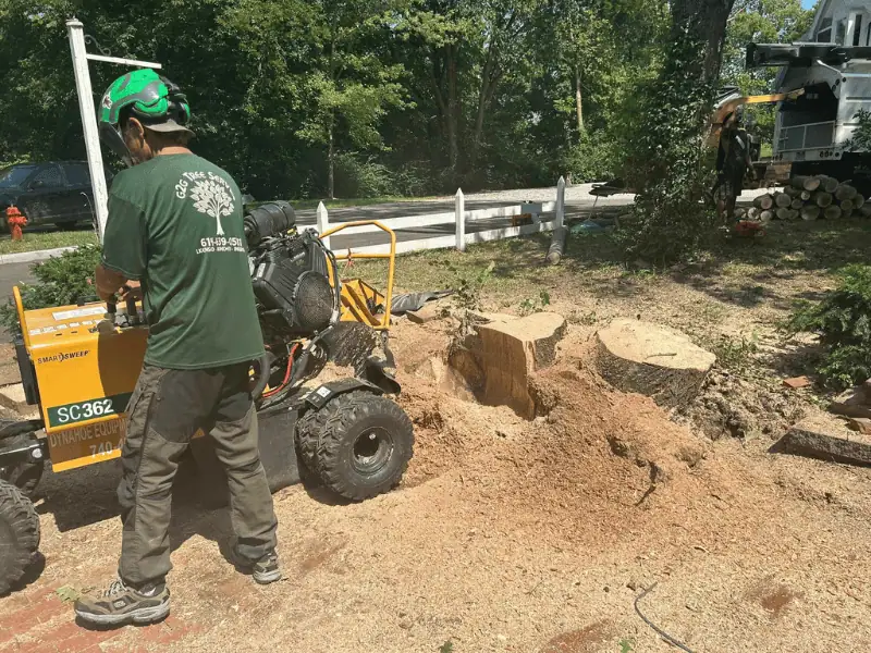 stump-grinding; stump grinding service with a stump grinder; stump removal; have stump removed