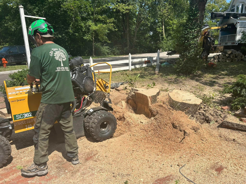 stump-grinding; stump grinding service with a stump grinder