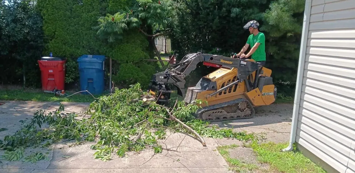 Affordable tree removal in Columbus Ohio with clean finished yard