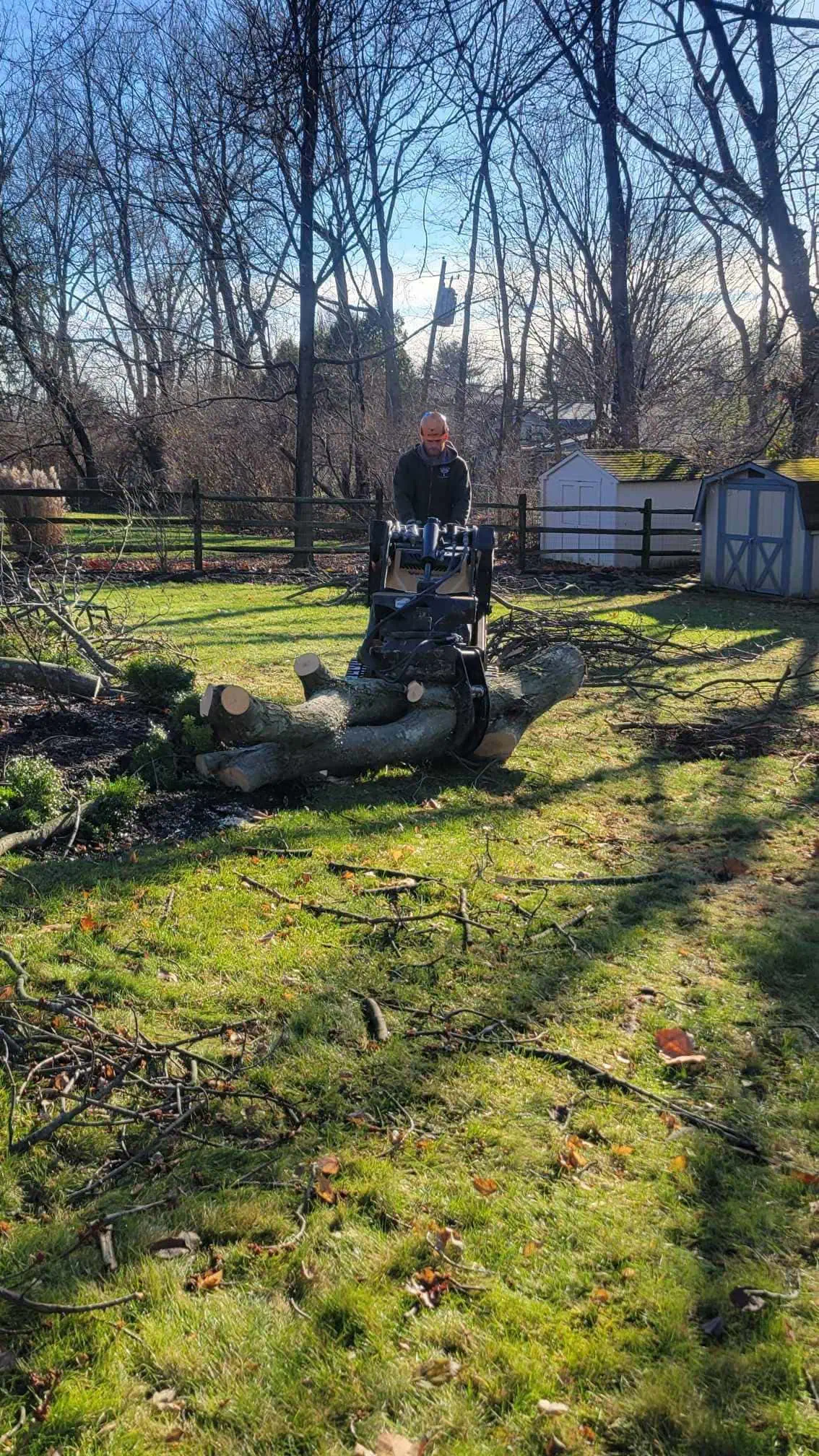 Professional tree service in Circleville, OH with clean and organized results
